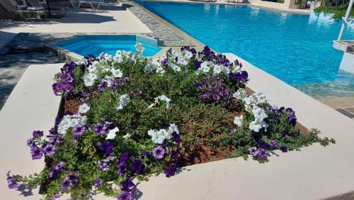 Hotels Image