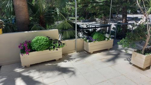 Hotels Image