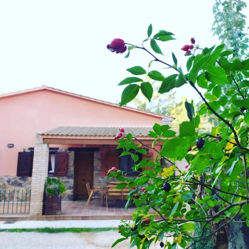 . Cabañas Rural Arco Iris