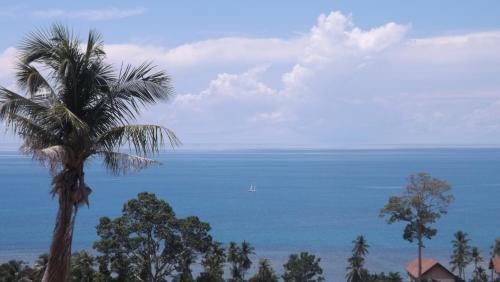 Foto - Tropical Sea View Residence