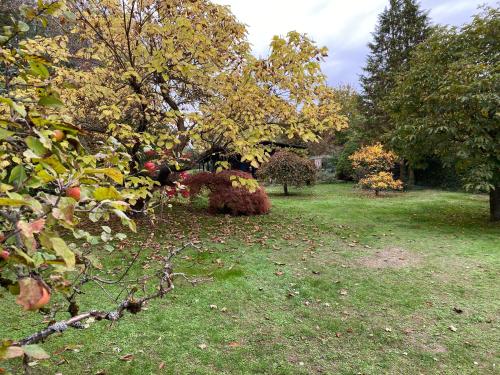 My Happy Garden 1500sq m