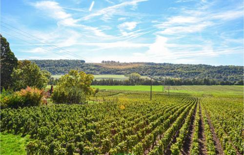 Kilátás, Beautiful Home In Saulchery With Wifi in Essomes Sur Marne