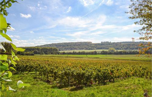 Kilátás, Beautiful Home In Saulchery With Wifi in Essomes Sur Marne