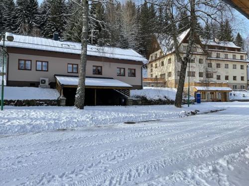 Srní-Modrý podkroví byt /dvojdomek u hotelu Vydra (Srni-Modry podkrovi byt /dvojdomek u hotelu Vydra) in 簡妮