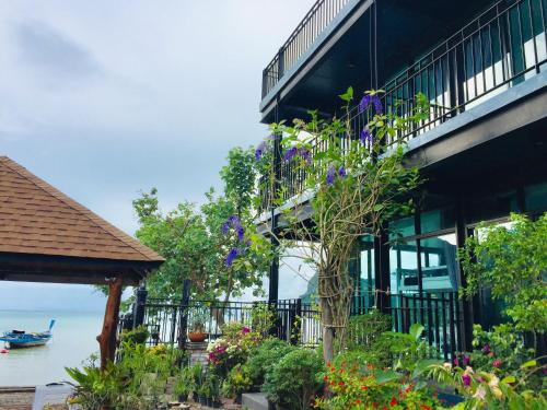 where to stay in Krabi: Dee Dee Seafront Hostel, Phi Phi Islands