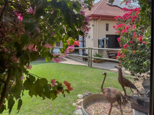 花園, Chameleon Backpackers & Guesthouse in 溫得和克