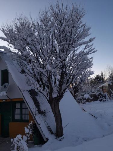 CABAÑAS RINCON DEL PLATA (CABANAS RINCON DEL PLATA) in El Salto (Mendoza)