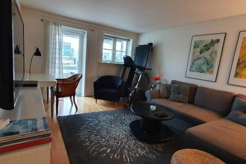 Nice and cozy flat in 努克