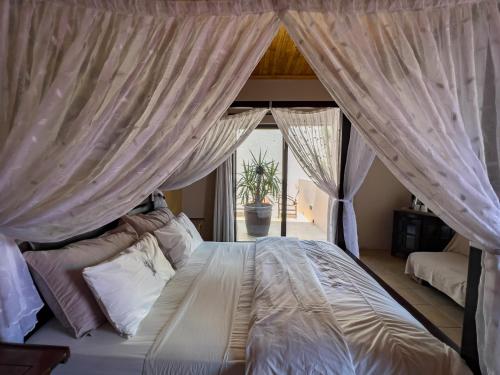 Varanda/terraço, Chameleon Backpackers & Guesthouse in Windhoek