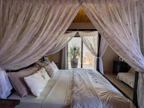 Chameleon Backpackers & Guesthouse in 溫得和克