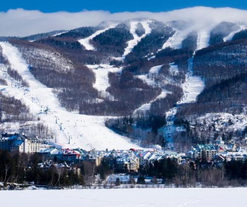 Amazing Lakemountain View 5min To Tremblant 491