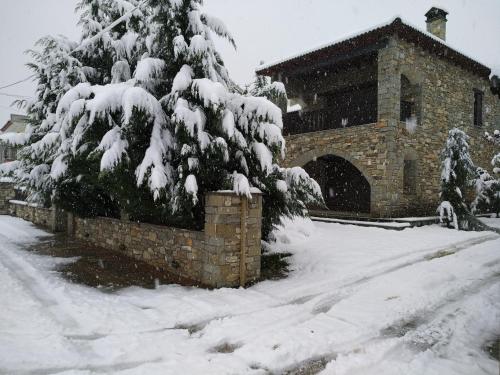 Villa Ria in Nymfaio