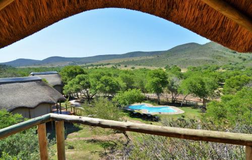 Garden Route Safari Camp