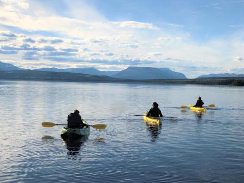 Bualie Golsfjellet Bualie Golsfjellet