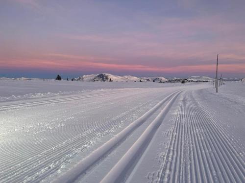 Bualie Golsfjellet