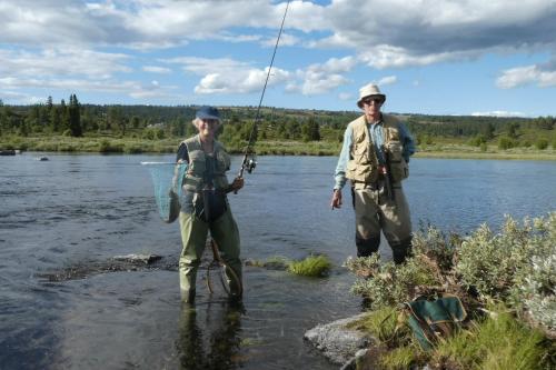 Bualie Golsfjellet Bualie Golsfjellet