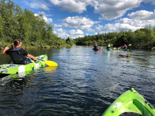 Bualie Golsfjellet Bualie Golsfjellet