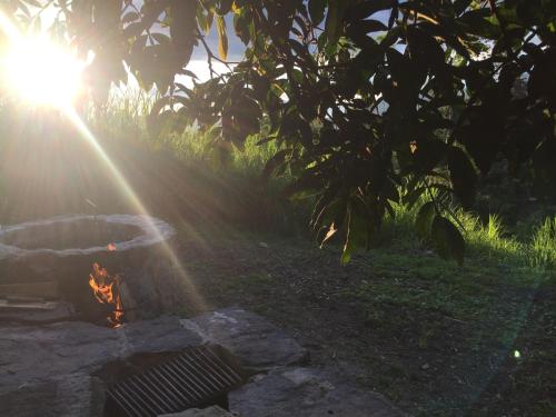 Glamping El Árbol en la Casa