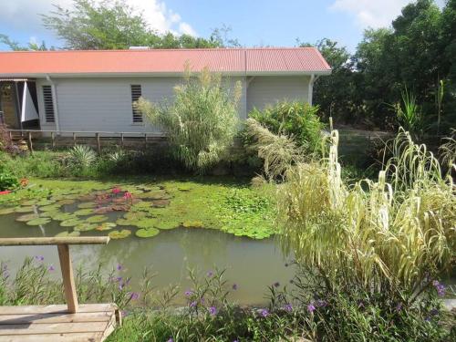 Ecolodge Anguilla - natural pool & beach