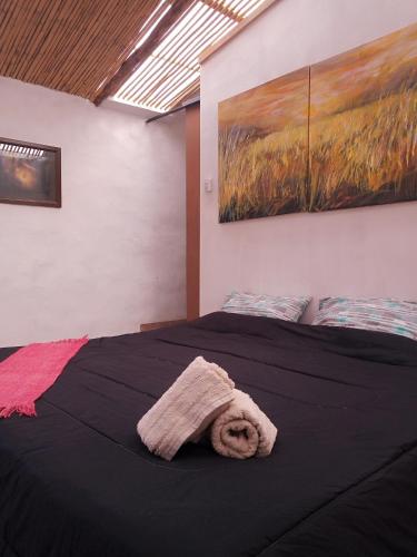 Dormir con llamas in Maimara