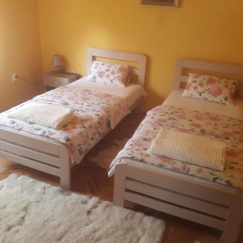 Apartman Dom Stankovića - Apartment - Pirot