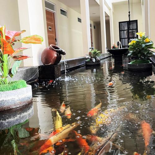 Hage, The Home Srengseng in Kebon Jeruk