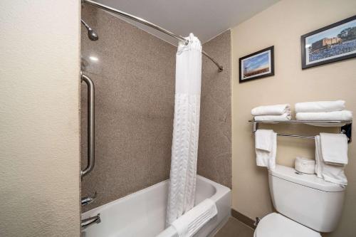 Comfort Suites University Abilene - image 7