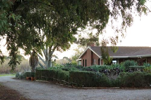 Linger Longer Vineyard in Mclaren Vale