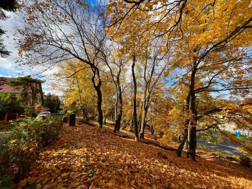 Apartament Katarzyny Puzyńskiej Apartament Katarzyny Puzyńskiej