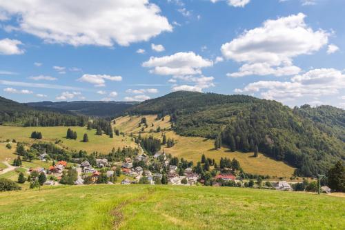 Design-Ferienhaus "auf der Schanz" mit privater Sauna - Todtnau-Muggenbrunn, Feldberg im Schwarzwald