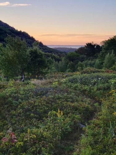 สภาพแวดล้อมโดยรอบ, Vana Kuti-cabin in the woods in ร็อกพอร์ท (ME)