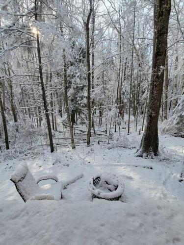 สภาพแวดล้อมโดยรอบ, Vana Kuti-cabin in the woods in ร็อกพอร์ท (ME)