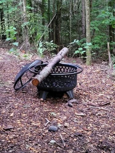 Vana Kuti-cabin in the woods