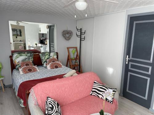 studio - Apartment - Montagnac