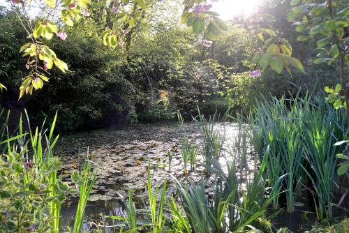 Deepaller Farm B&B in Tiverton