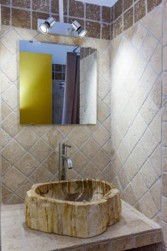 Royal Palm - image 14