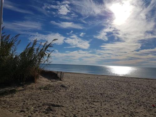 MARSEILLAN-PLAGE Appartement cosy en bord de mer - Location saisonnière - Marseillan