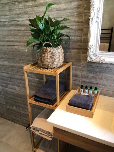 River View Cottage River View Cottage