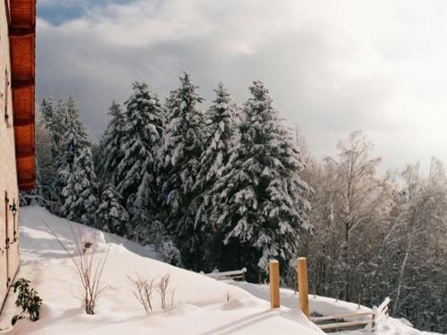 Gîte Vagney 5 pièces 8 personnes - FR-1-589-227 - image 2