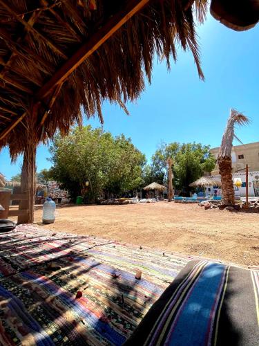 Ambiente nas Imediações, El Rayga Camp - Comfy studio - single in Dahab