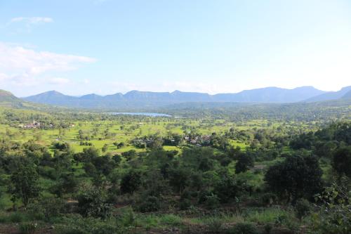 Shinde's Tikona Valley Farm