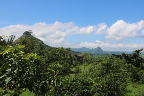 Shinde's Tikona Valley Farm