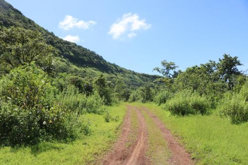 Shinde's Tikona Valley Farm