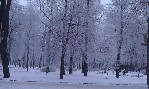 Belokorichi - image 11