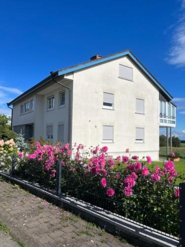 Ferienwohnung Maier - Apartment - Kreenheinstetten