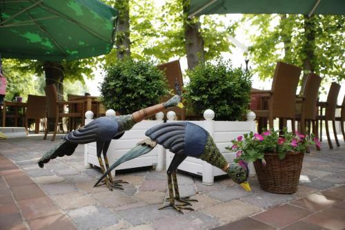 Hotel Robben – Bremen, NC