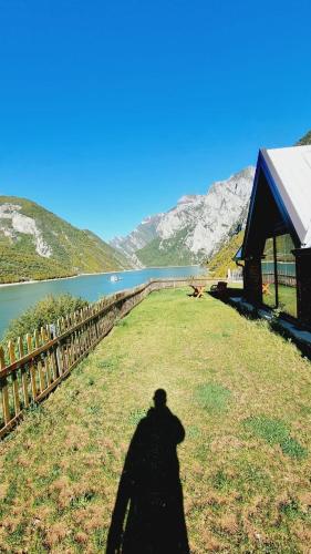 5 Stinet - image 5
