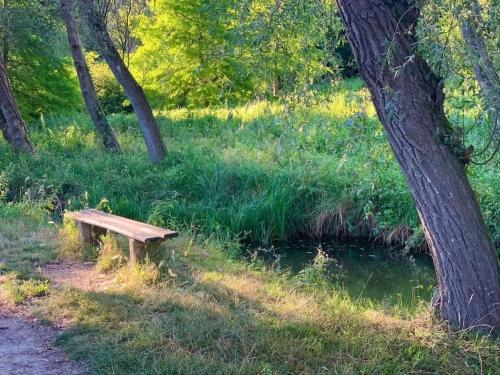 Maison avec sous sol indépendant et parking à 2km de Versailles (Maison avec sous sol independant et parking a 2km de Versailles) in Buc