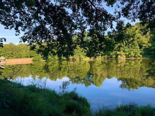 Maison avec sous sol indépendant et parking à 2km de Versailles (Maison avec sous sol independant et parking a 2km de Versailles) in Buc