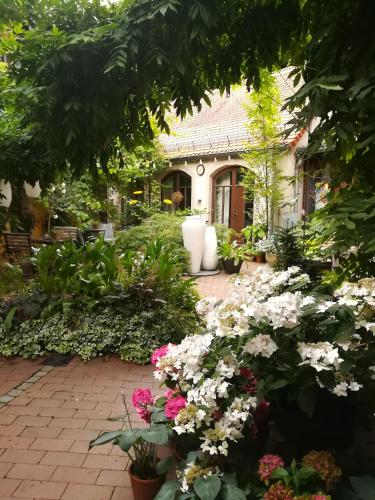 Fährhaus Meißen B&B